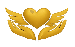 Donación solidaria